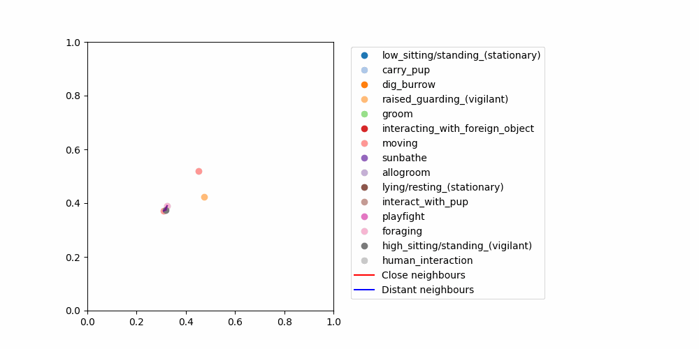 Visualization of individual meerkat movements, behaviours and interactions.
